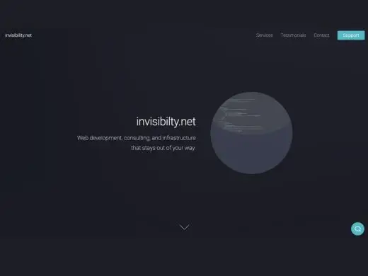 Screenshot of the invisibility.net website